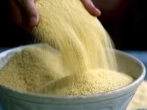 предзнаменование грис