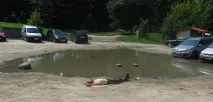 забавни ваканция