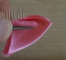 country венчелистче