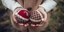 Чоловіче яєчко анатомія анатомія