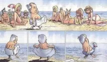 истории истории