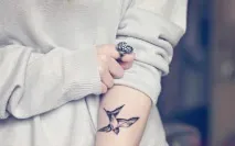 символиката формата