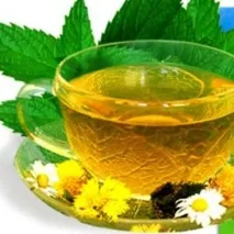 М’ята для волосся настої, відвари, олії волосся