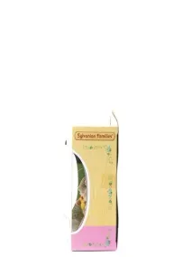 Набір - Сім’я Смугастих Котів - Sylvanian Families 2789646 в інтернет-магазині котів