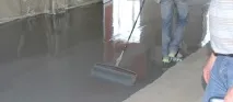 снимка снимка
