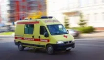 Новини України Смертельна отрута на аптечній ромашці - Вільна Преса Південь - Новини сьогодні, 16 аптечній