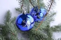 новогодишни новогодишни