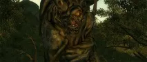 quests oasis