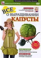 видео видео