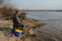 мухата Dimension Pole