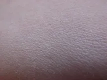 естественото лице естественото лице
