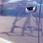 Залишати крокрень чи ні крокрень