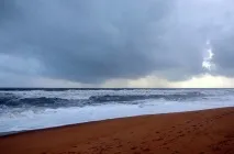 2019 индия