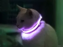 чудесно собствениците