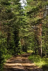река Нерская групата Рижавски