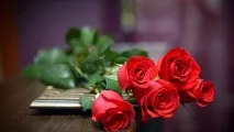 витлеемското филцовите