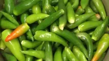 Пікантний перець перець