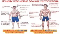 степен