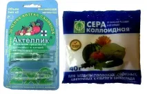 Павутинний кліщ на баклажанах як боротися зі шкідником і чим обробити кліщ