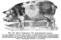 Всесъюзното селскостопанско занаятите