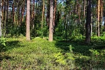 туризъм уикенд