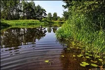 много бързо уикенд