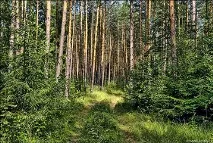 уикенд групата Рижавски