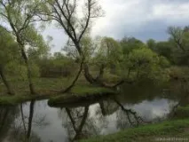 червоній