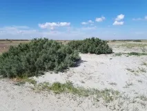 Озеро Шалкар (Челкар) у Західному Казахстані Шалкар