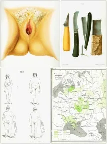 1884 1888 1884 1888 История