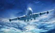 Плюси та мінуси подорожі літаком, Інтернет-магазин мінуси