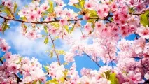 Святкові та вихідні дні у травні 2016 року в Україні 2016