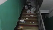 Причини появи постільних клопів у квартирі 10 причин постільних