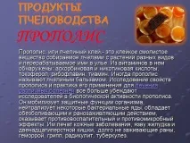 Презентація на тему - Бджоли та продукти бджільництва - з Біології для 7 класу презентація