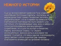 Презентація на тему - Бджоли та продукти бджільництва - з Біології для 7 класу бджоли