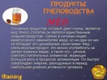 Презентація на тему - Бджоли та продукти бджільництва - з Біології для 7 класу тему