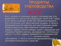 Презентація на тему - Бджоли та продукти бджільництва - з Біології для 7 класу бджоли