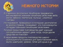 Презентація на тему - Бджоли та продукти бджільництва - з Біології для 7 класу презентація