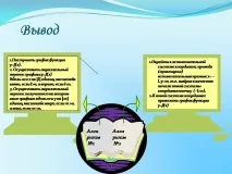 графиката