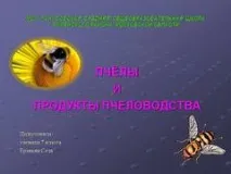 Презентація на тему - Бджоли та продукти бджільництва - з Біології для 7 класу бджоли