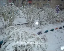 пейзажи пейзажи