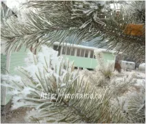 Передзимові пейзажі пейзажі