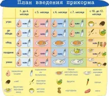 Прикорм по місяцях та дозування Введення прикорму в 6, 7, 8, 9, 10 місяців прикорм