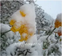 пейзажи пейзажи