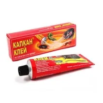 Причини появи постільних клопів у квартирі 10 причин причин