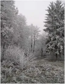 предзимни пейзажи