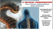 даде глисти