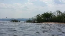шиловски изчезна