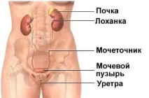 уринирането проблеми