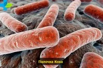 туберкулоза начини